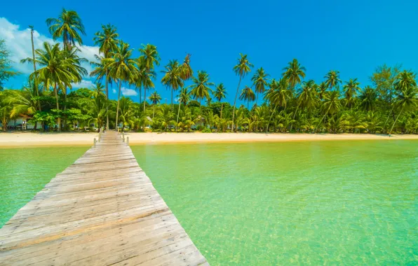 Picture sand, sea, wave, beach, summer, the sky, palm trees, shore