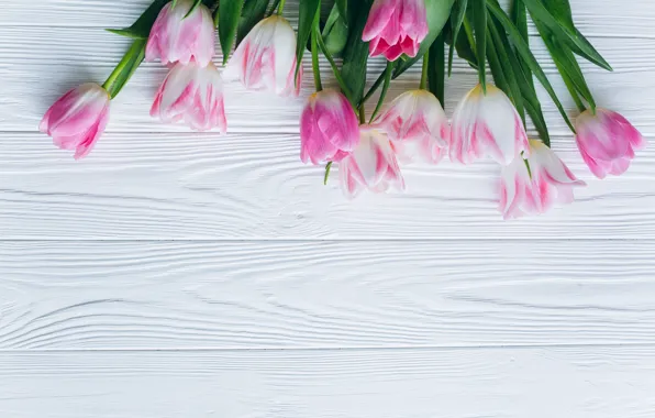 Flowers, tulips, pink, fresh, wood, pink, flowers, beautiful