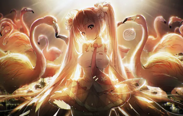 Vocaloid, Flamingo, Hatsune Miku