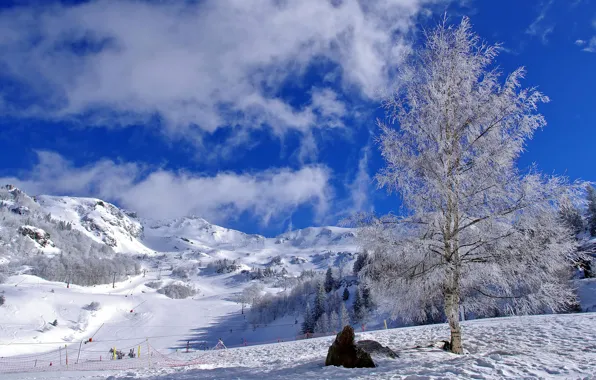 Picture the sky, clouds, snow, birch, ski descent