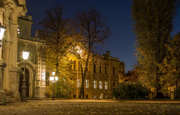 Night, the city, street, view, Peter, Saint Petersburg, Russia, architecture