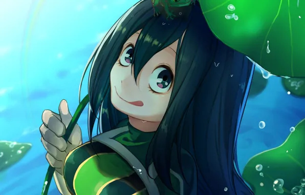 Sheet, lake, frog, My Hero Academia, Boku No Hero Academy, My heroic academia, The Tsui …