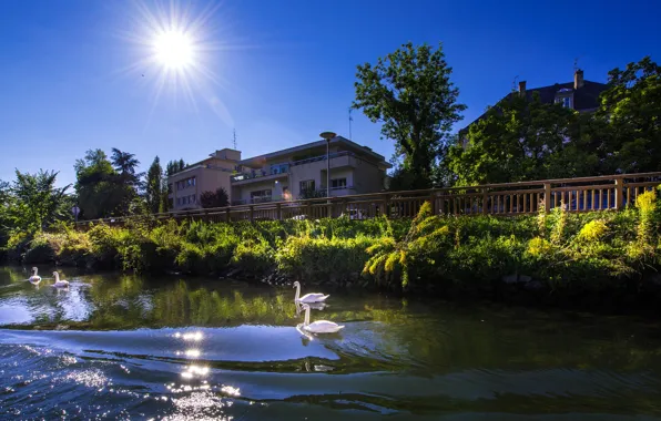 Greens, summer, the sky, the sun, rays, trees, river, France
