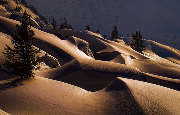 Picture winter, forest, light, snow, sunset, mountains, nature, hills