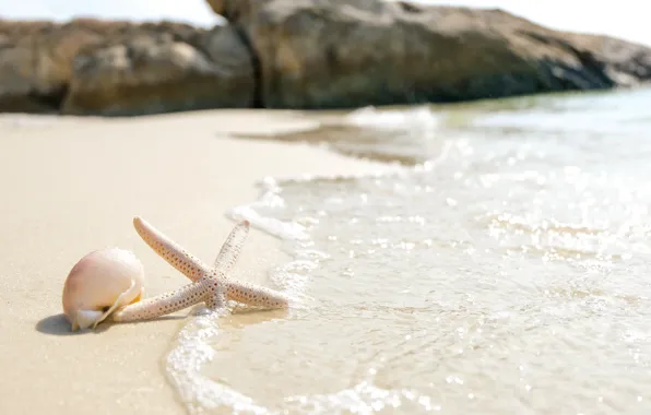 Sand, sea, beach, star, summer, beach, sea, sea