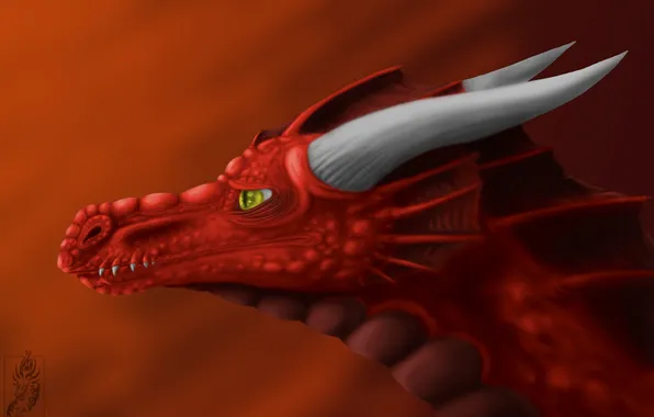 Picture look, face, red, fiction, dragon, art, horns