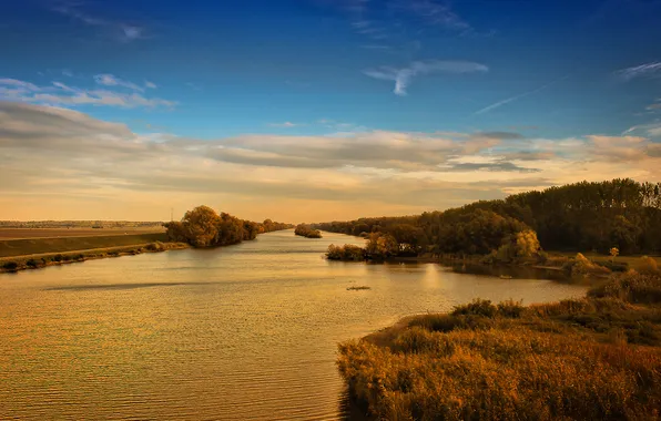 Forest, clouds, nature, river, ruffle