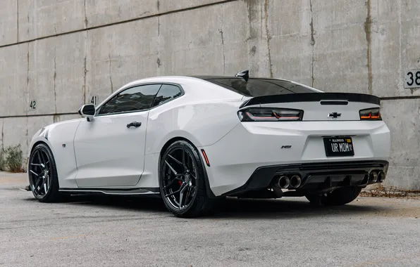 Chevrolet, Camaro, Chevrolet Camaro, Muscle Car, Rear