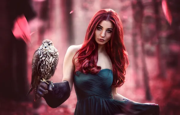 Autumn, forest, look, leaves, girl, nature, face, style