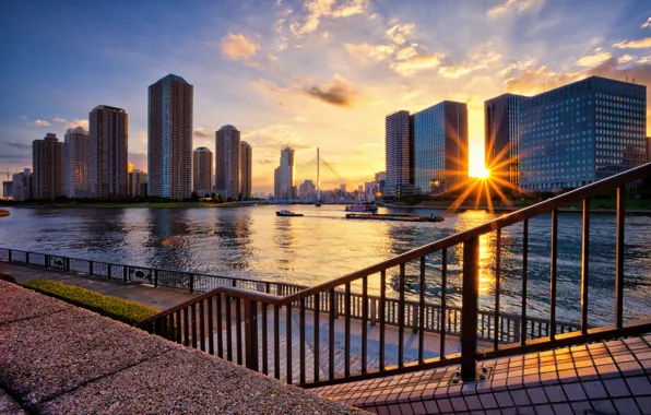 Picture the city, river, home, Tokyo, promenade, Kotoku, JAPAN