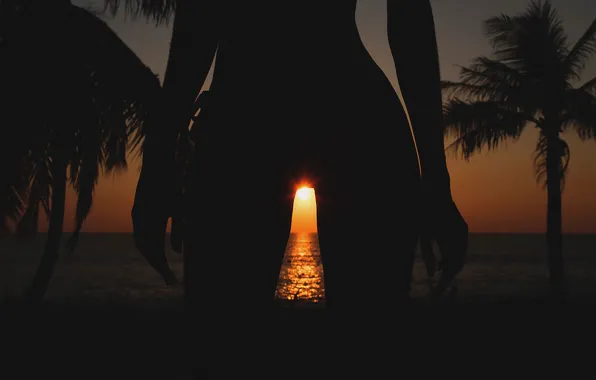 Beach, girl, the sun, palm trees, silhouette, legs, MAVRIN