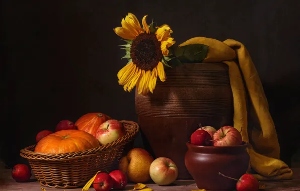Sunflowers, apples, bouquet, pumpkin, fabric, pot, fruit, still life