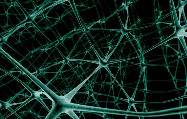 Picture network, neurons, link