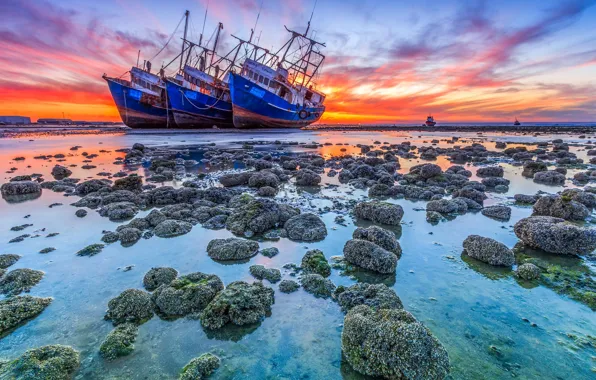 Landscape, the ocean, dawn, shore, ship, stranded, korablekrushenie