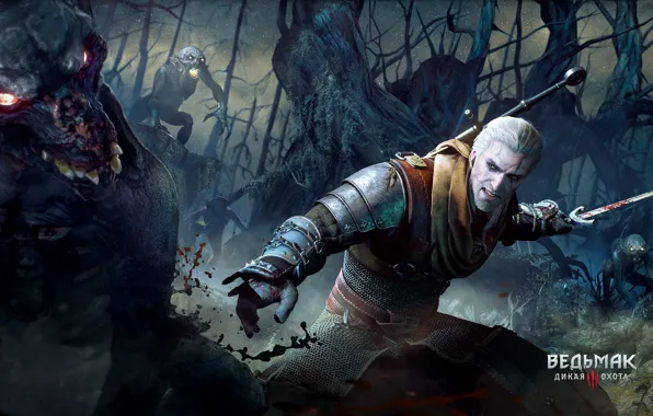 Sword, fantasy, the witcher, the Witcher, tumannik, Sapkowski