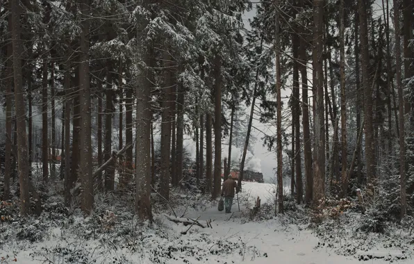 Forest, snow, train, daylight, Dapflok 99 7247 - 2