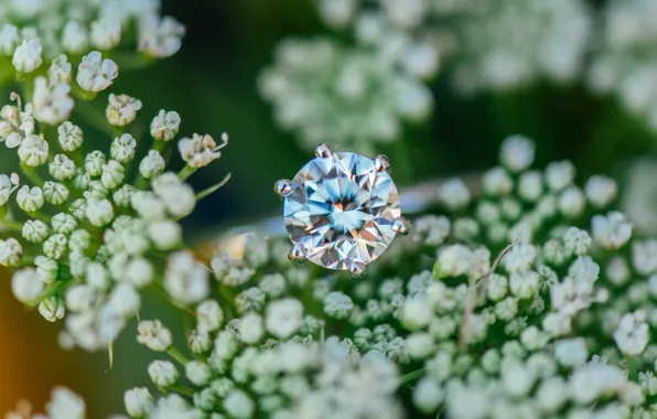 Picture stones, ring, wedding