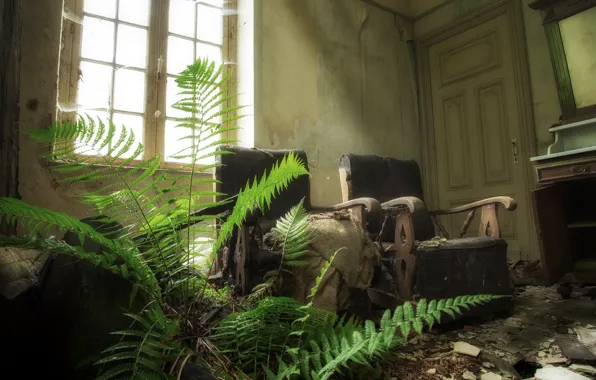 Room, interior, chair