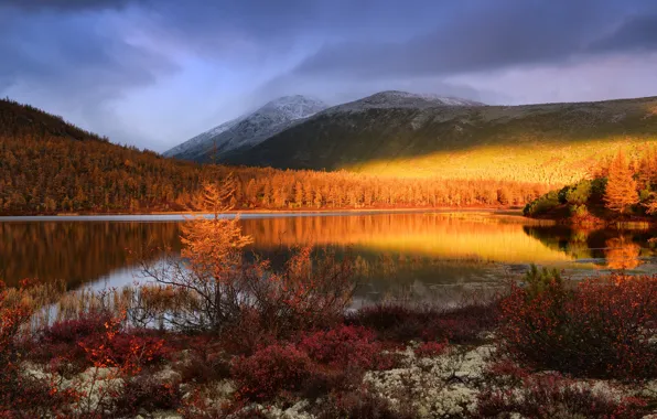 Picture autumn, landscape, mountains, nature, vegetation, forest, Kolyma, Maxim Evdokimov