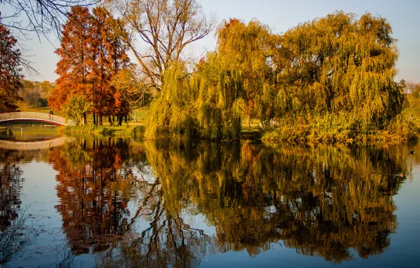 Autumn, trees, pond, Park