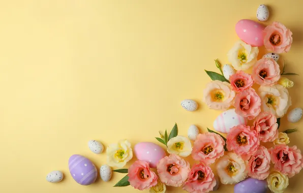 Flowers, eggs, spring, colorful, Easter, pink, flowers, spring