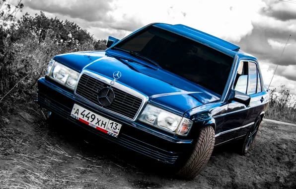 Mercedes, mercedes-benz, Mercedes, gelding, Mercedes, benz, 190, w201