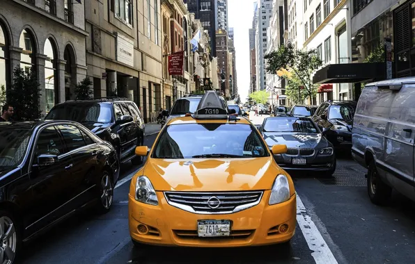 Street, taxi, Nissan, car, yellow