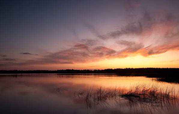 The sky, grass, sunset, lake