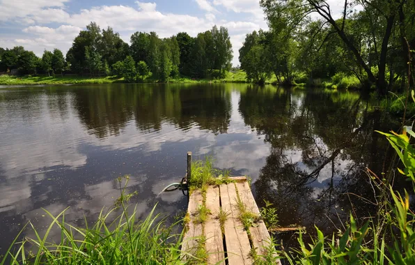 Water, trees, pond, plants, the bridge