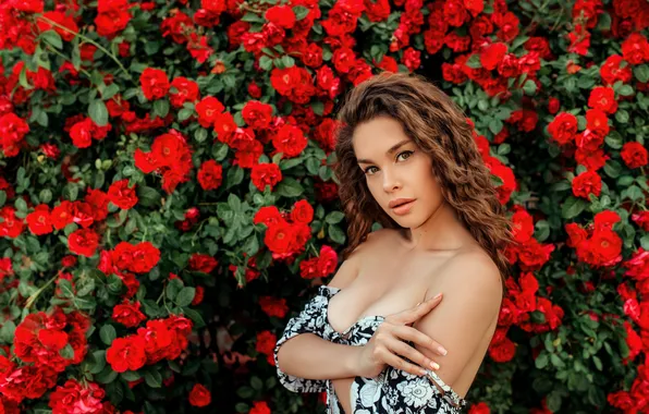 Chest, summer, girl, flowers, pose, roses, garden, red