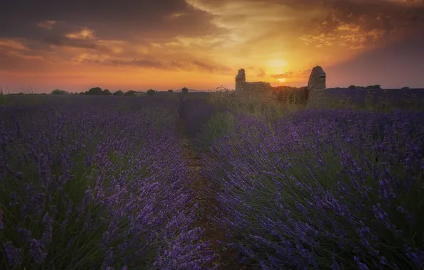 Field, clouds, sunset, flowers, ruins, path, lavender, lavender field