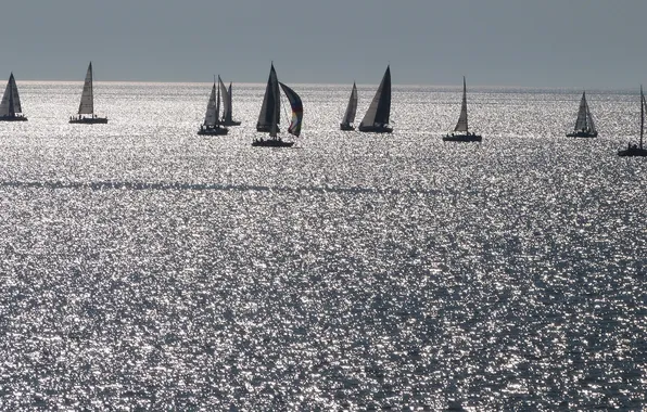 Sea, sport, yachts, sails, The Mediterranean Sea Race, Regata Rolex, Middle Sea Race, Rolex Regatta