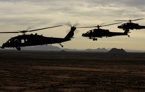 Picture USA army, Ah-64 apache, UH-60 Black Hawk