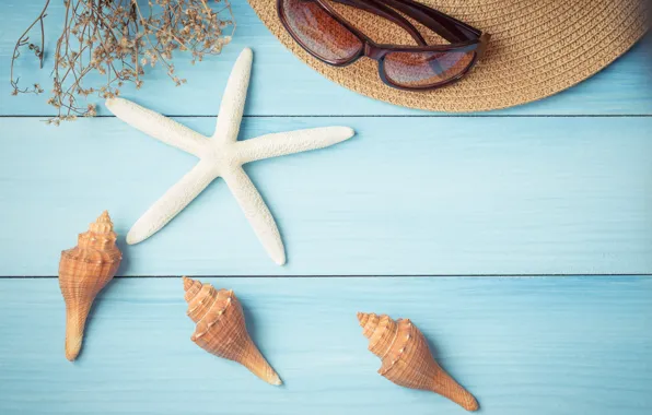 Picture beach, summer, stay, star, vacation, hat, shell, summer