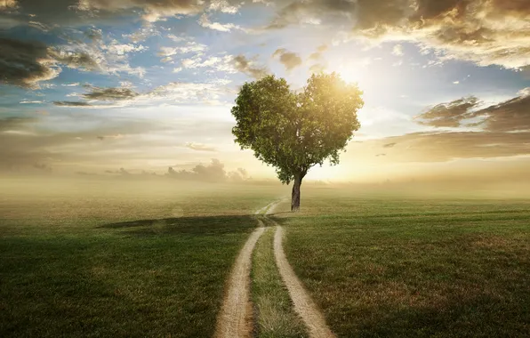 Road, landscape, nature, heart