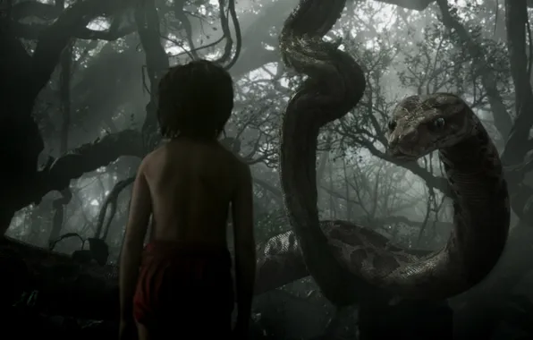 Boy, Python, Mowgli, The Jungle Book, The jungle book, Kaa