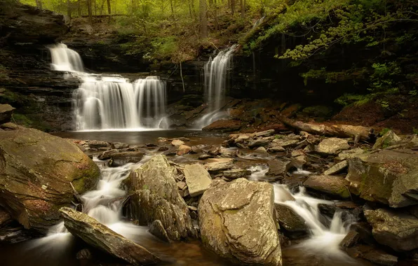 Picture forest, river, stones, Pennsylvania, Ricketts Glen State Park, R. B. Ricketts Falls