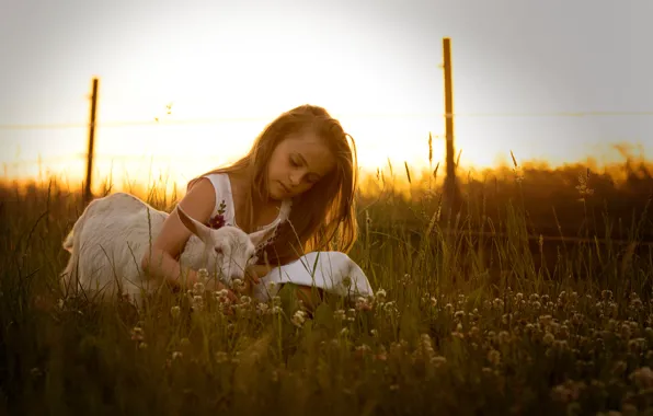 Meadow, girl, clover, friends, goat, goat