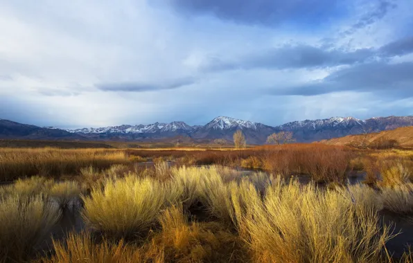 Autumn, the sky, grass, clouds, snow, mountains, blue, shore