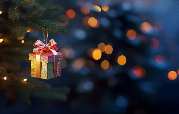 Branches, lights, holiday, gift, toy, Christmas, New year, needles