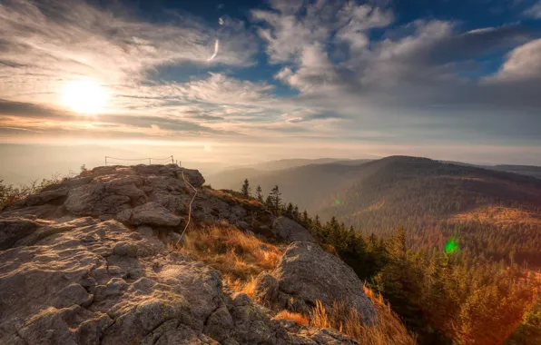 Picture Sunrise, Forest, Nationalpark Bavarian