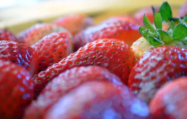 Berries, food, strawberry, blurry, bokeh, Wallpaper from lolita777