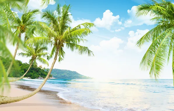 Sand, sea, beach, nature, the ocean, summer, beach, sea