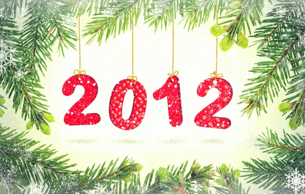Snowflakes, branches, holiday, the number, year