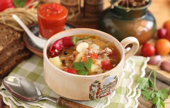 Soup, vegetables, tomatoes, adjika