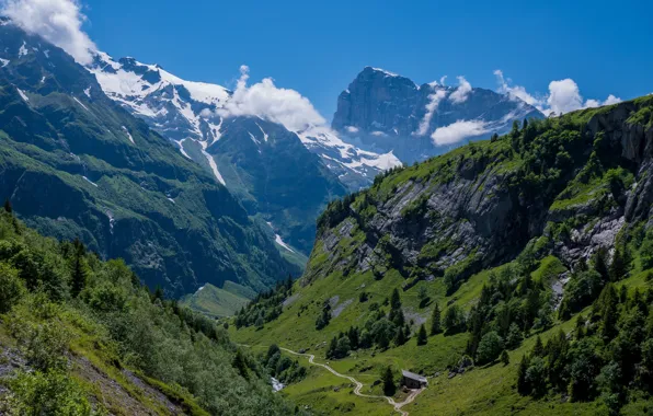 Picture road, mountains, gorge, house