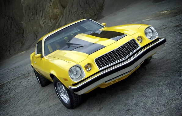 Yellow, Chevrolet, muscle car, classic, camaro, chevrolet, muscle car, the front