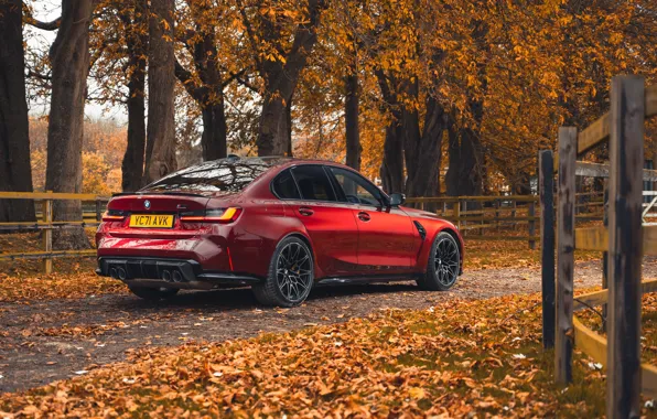 Red, BMW, BMW, Red, xDrive, Rear view, Forest, Rear