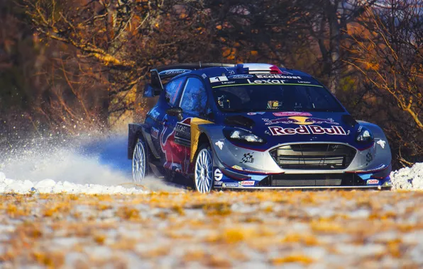 Ford, Winter, Auto, Snow, Sport, Machine, Ford, Race