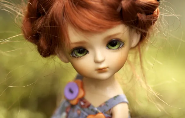 Picture toy, doll, red, green-eyed